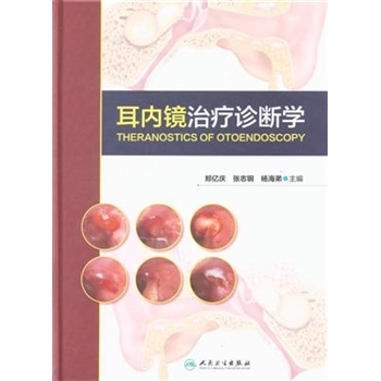 耳内镜治疗诊断学